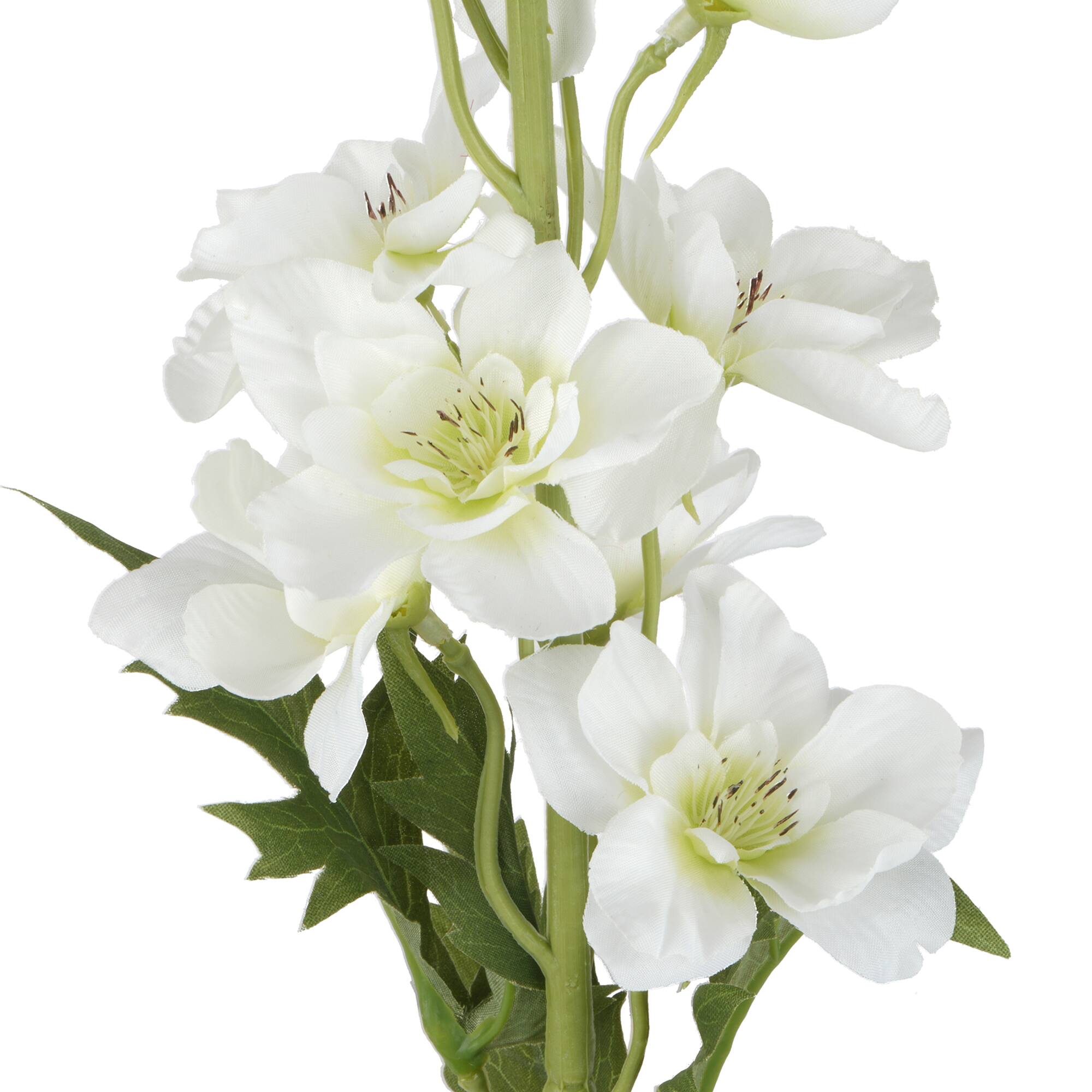 37" Delphinium Stem by Ashland